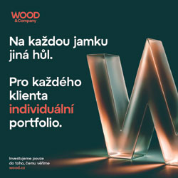 wood-2025